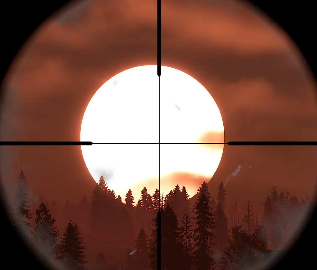 Survival atmosphere and player perspective
